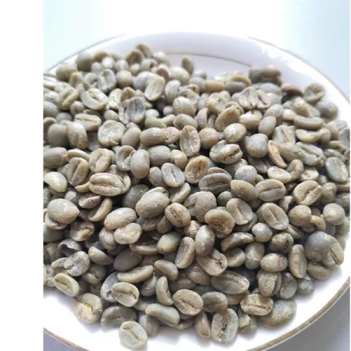 Commercial grade Arabica Bourbon green coffee beans